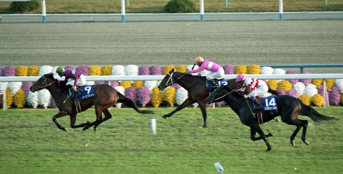 写真(3) - 【2000年マイルCS】芝の初勝利がなんとGⅠ〝異端児