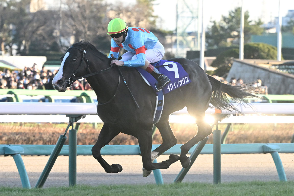 写真(2) - 【JRA賞】圧勝で年度代表馬に選出のイクイノックス 「異