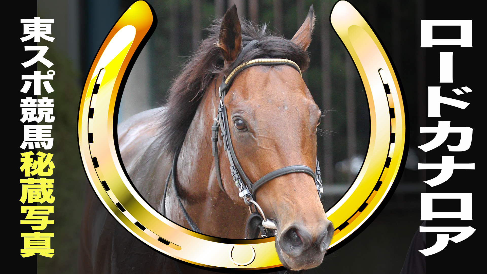 ロードカナロア 2018年JRA顕彰馬（殿堂） | 競馬関連動画なら東