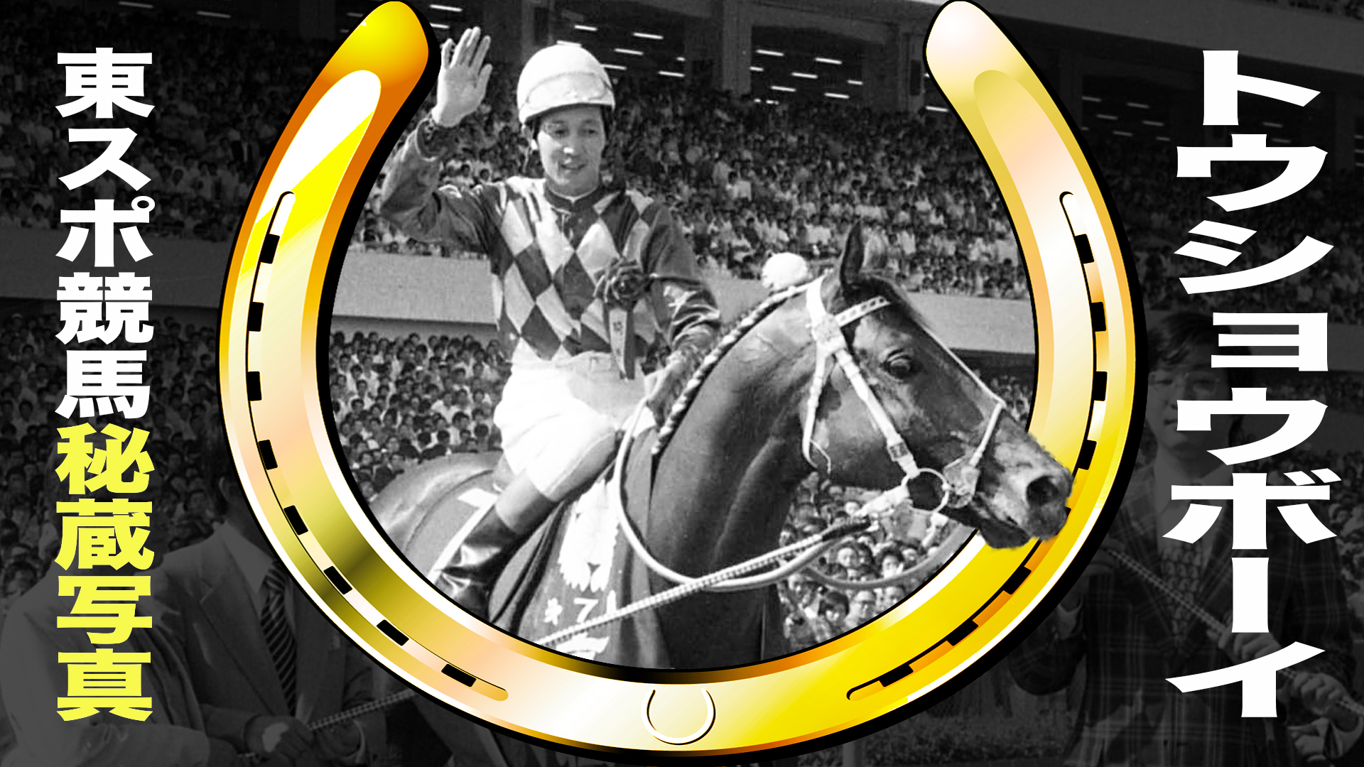 トウショウボーイ　１９８４年ＪＲＡ顕彰馬（殿堂）