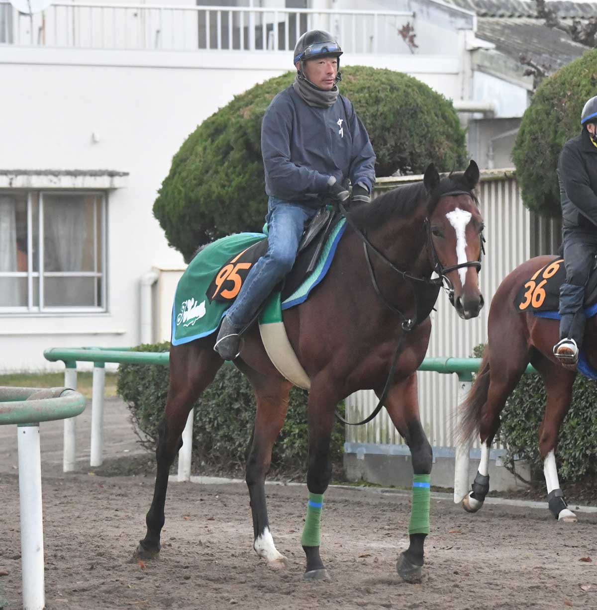 ラスース 「乗馬」夏 （394>好調2歳馬の勝ち上がりが目立つシルク 