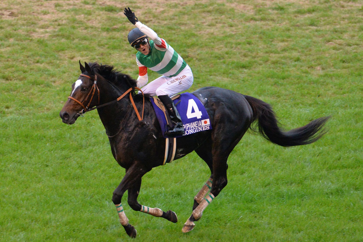２７ エピファ流 走法で狙う夢の凱旋門賞ｖ 競馬ニュース 特集なら東スポ競馬