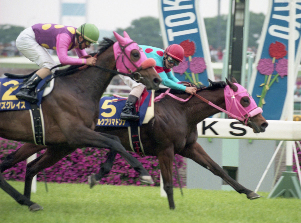 127 天栄調教見学会 で注目を集めた２頭 競馬ニュース 特集なら東スポ競馬