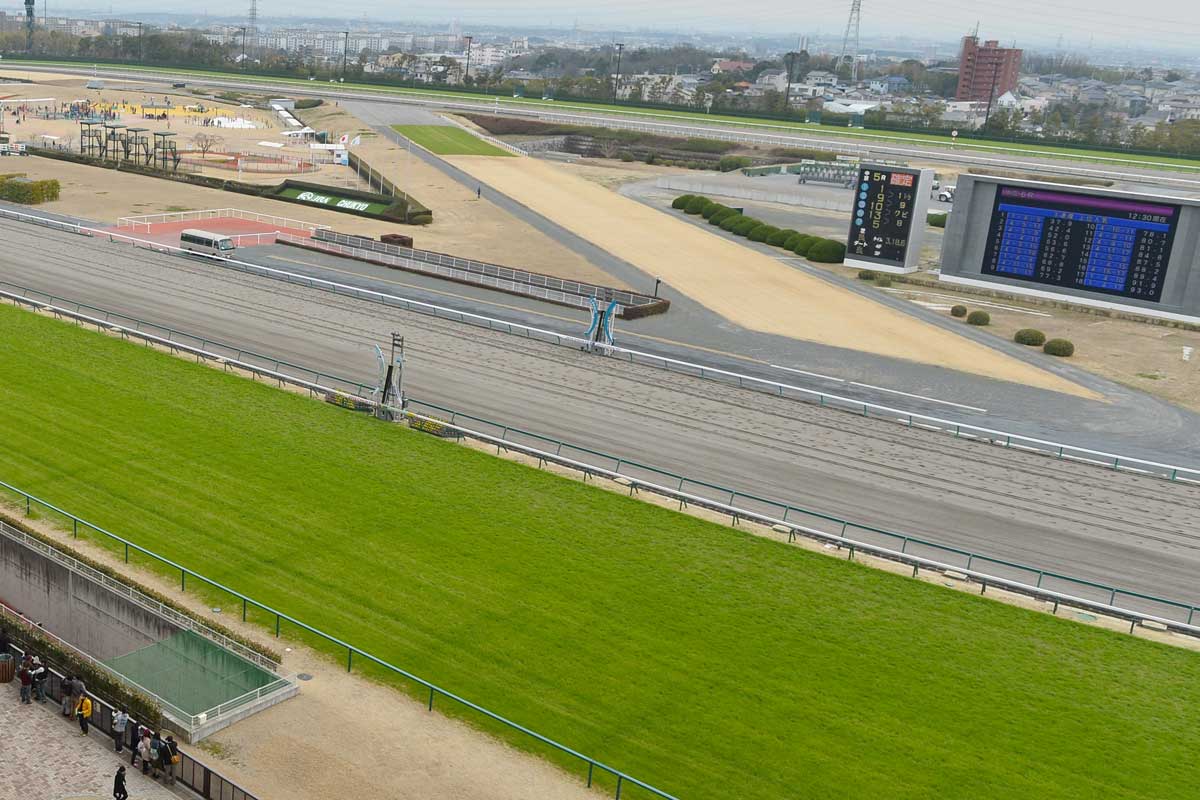 森裕太朗騎手が９日間の騎乗停止　中京１０レースで内側に斜行、他馬が落馬→競走中止