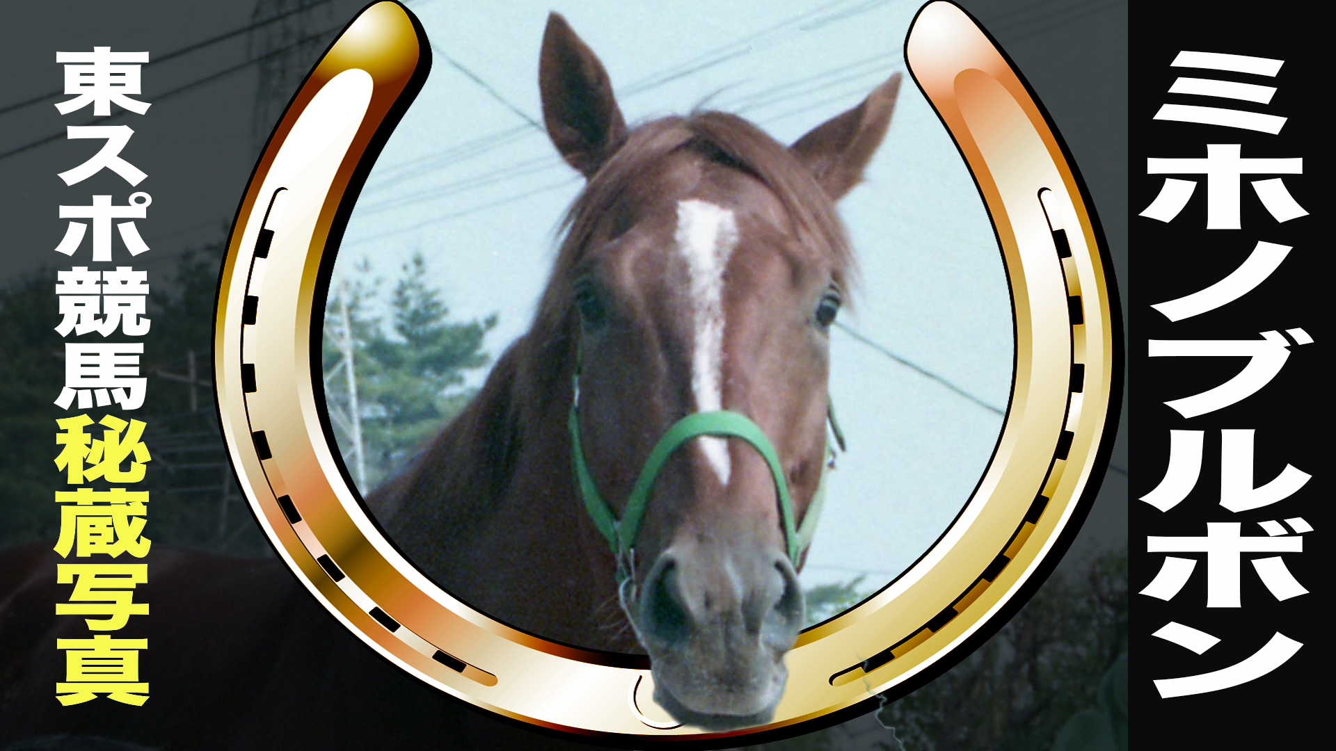 ミホノブルボン  １９９２年ＪＲＡ賞年度代表馬