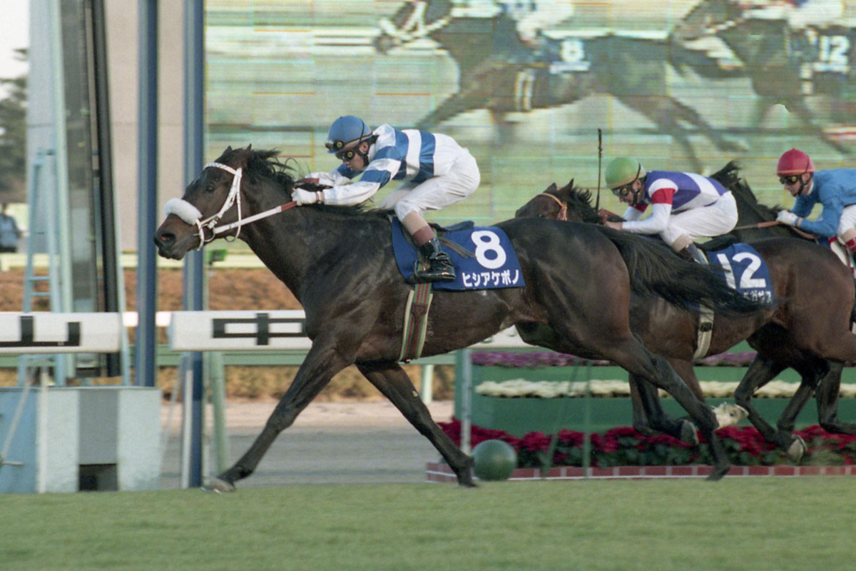 競馬秘宝館 ｇ 勝利馬の最高馬体重は 馬体も走りも ヨコヅナ級 競馬ニュース 特集なら東スポ競馬