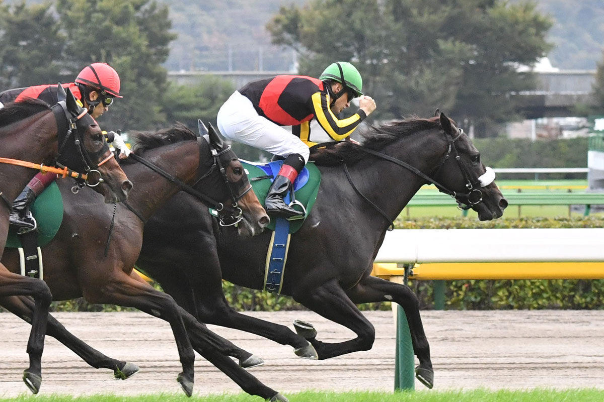 ２歳戦フラッシュ コマンドラインが重賞初ｖ ダークペイジはｇ も視野に 競馬ニュース 特集なら東スポ競馬