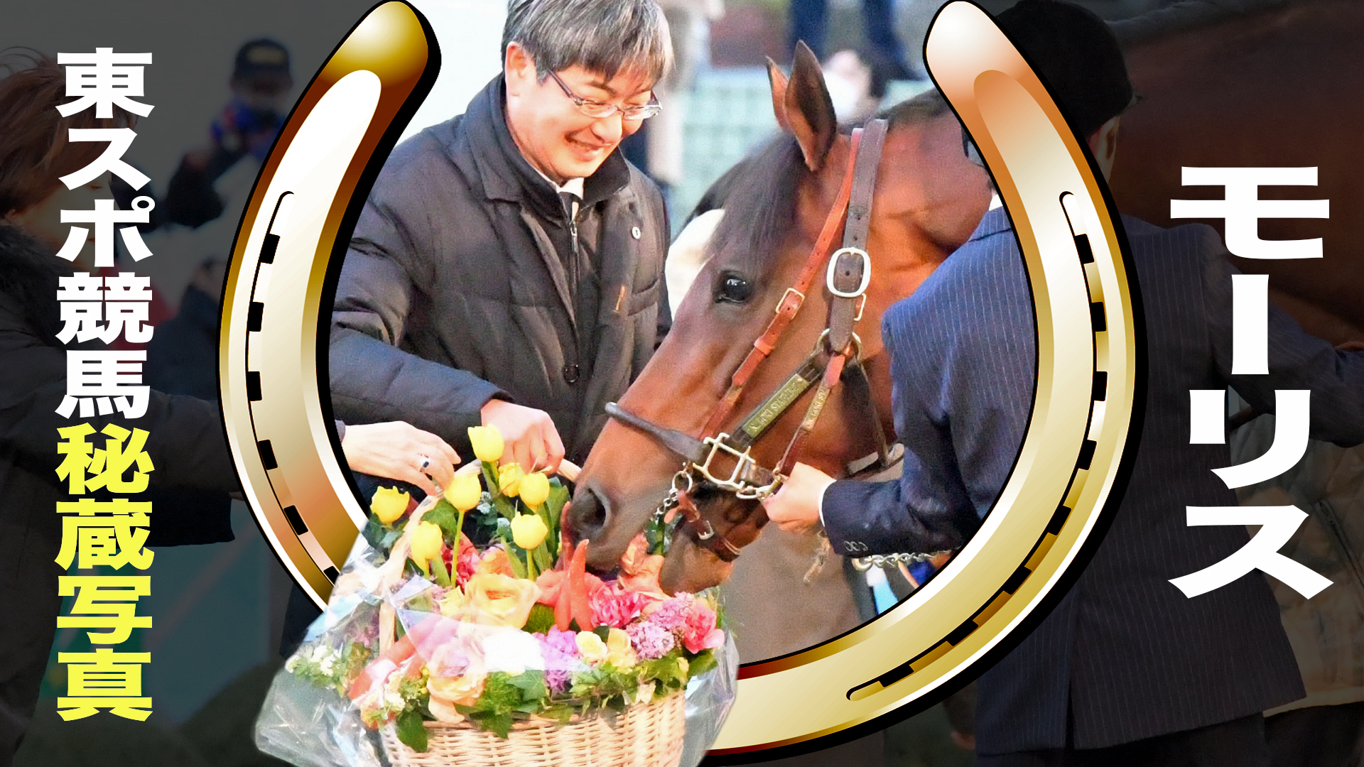 モーリス　２０１５年ＪＲＡ賞年度代表馬