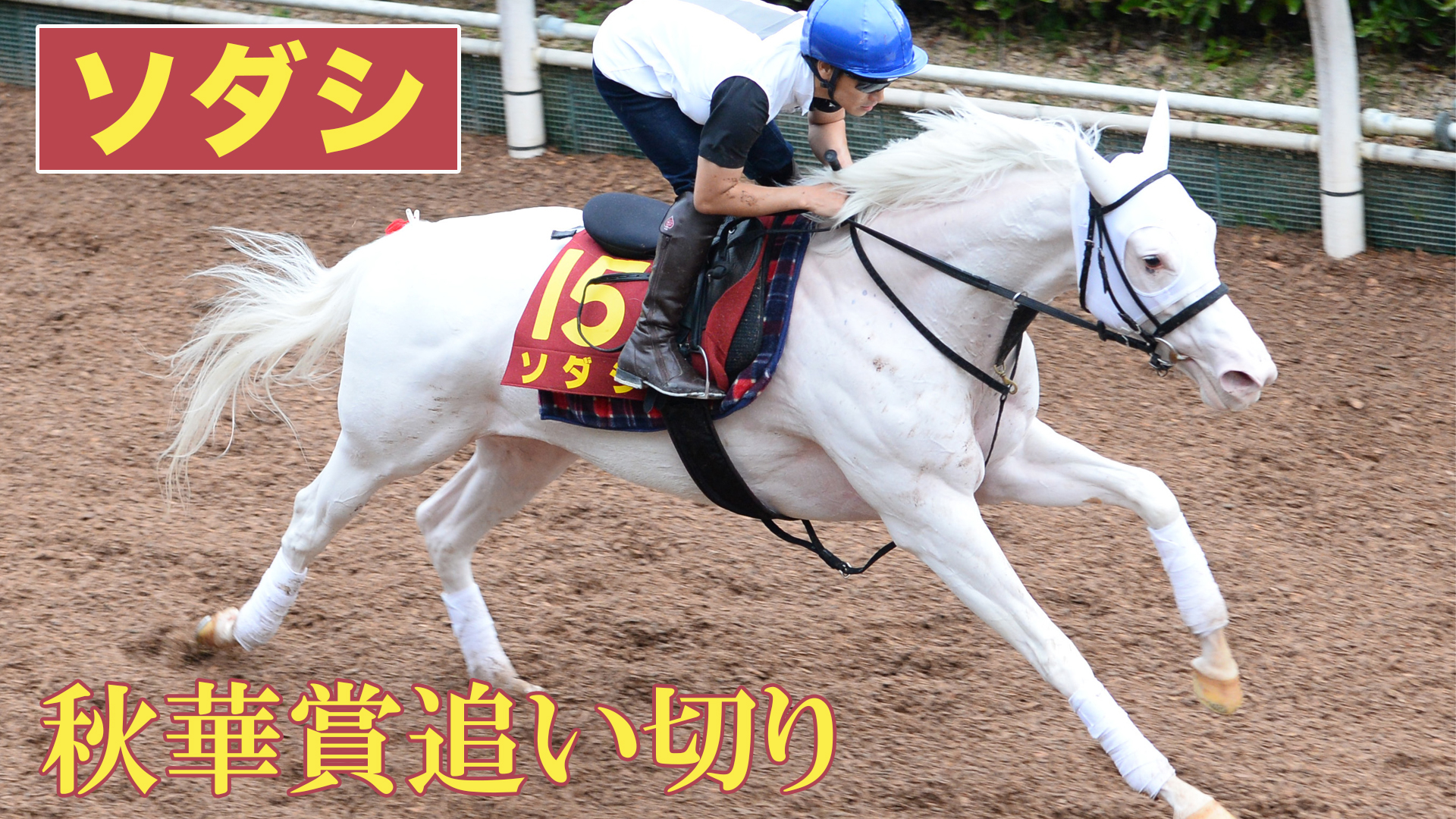 秋華賞 競馬ニュース 特集なら東スポ競馬