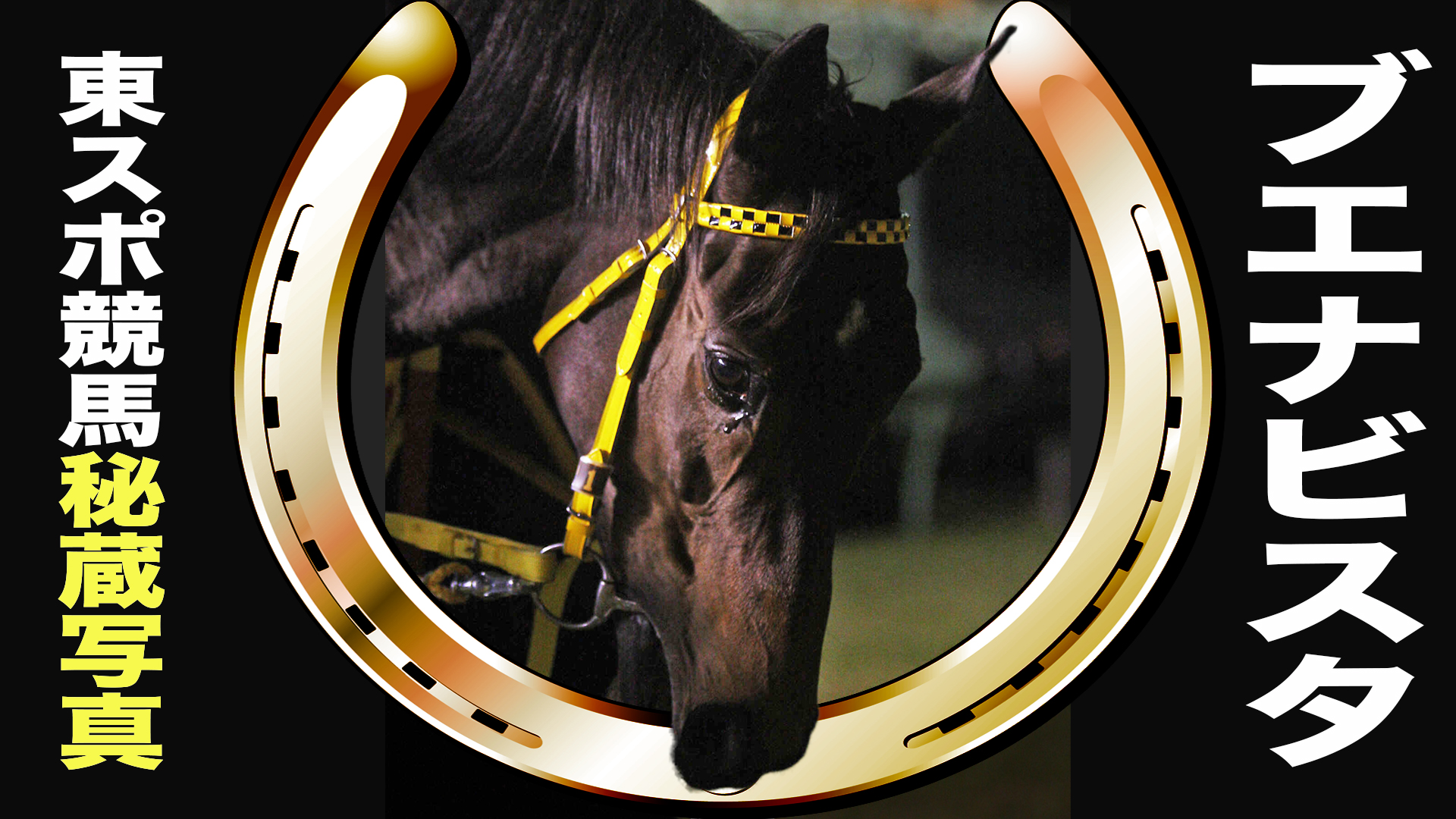ブエナビスタ　２０１０年ＪＲＡ賞年度代表馬