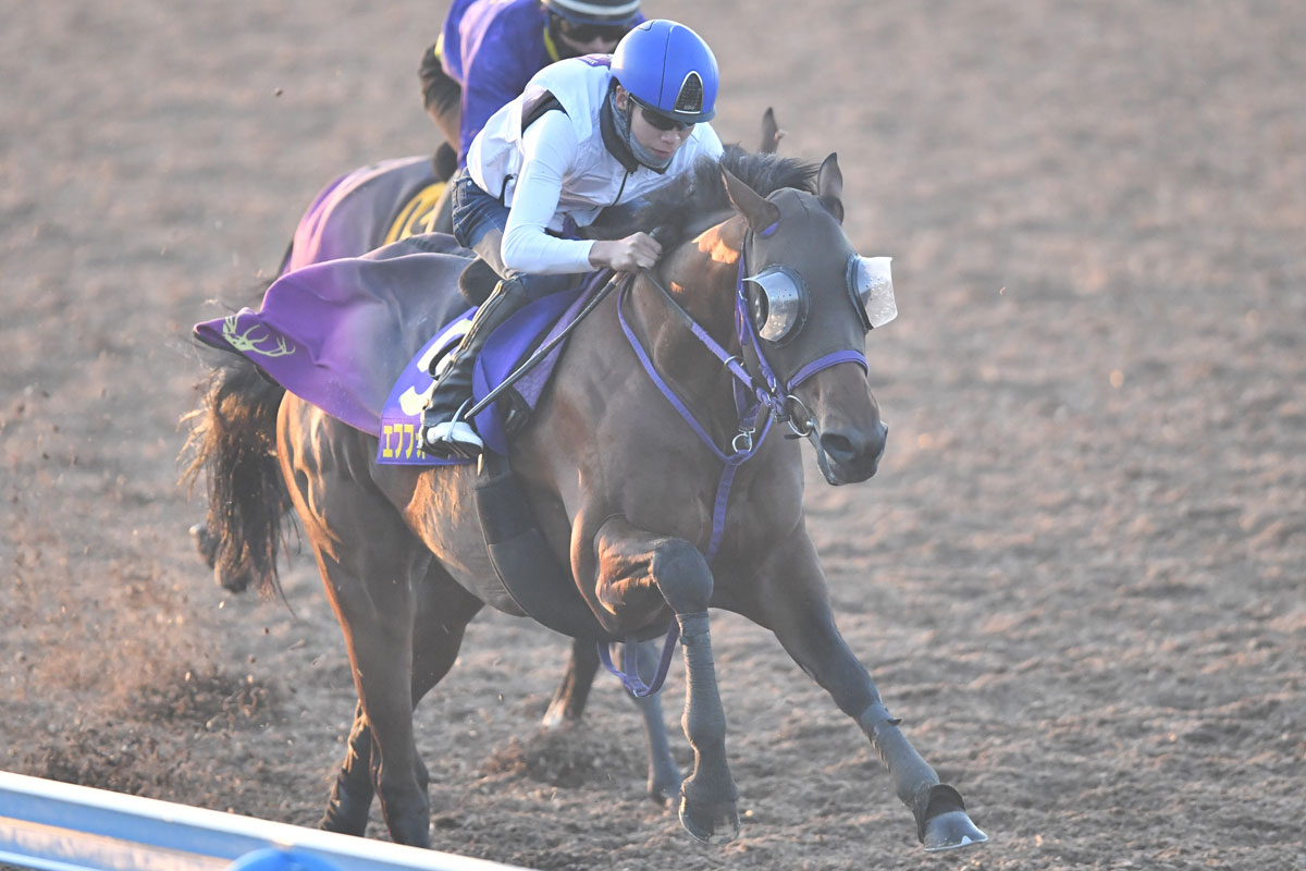 天皇賞・秋1週前追い切り】エフフォーリア鋭い走りでクビ先着 横山武
