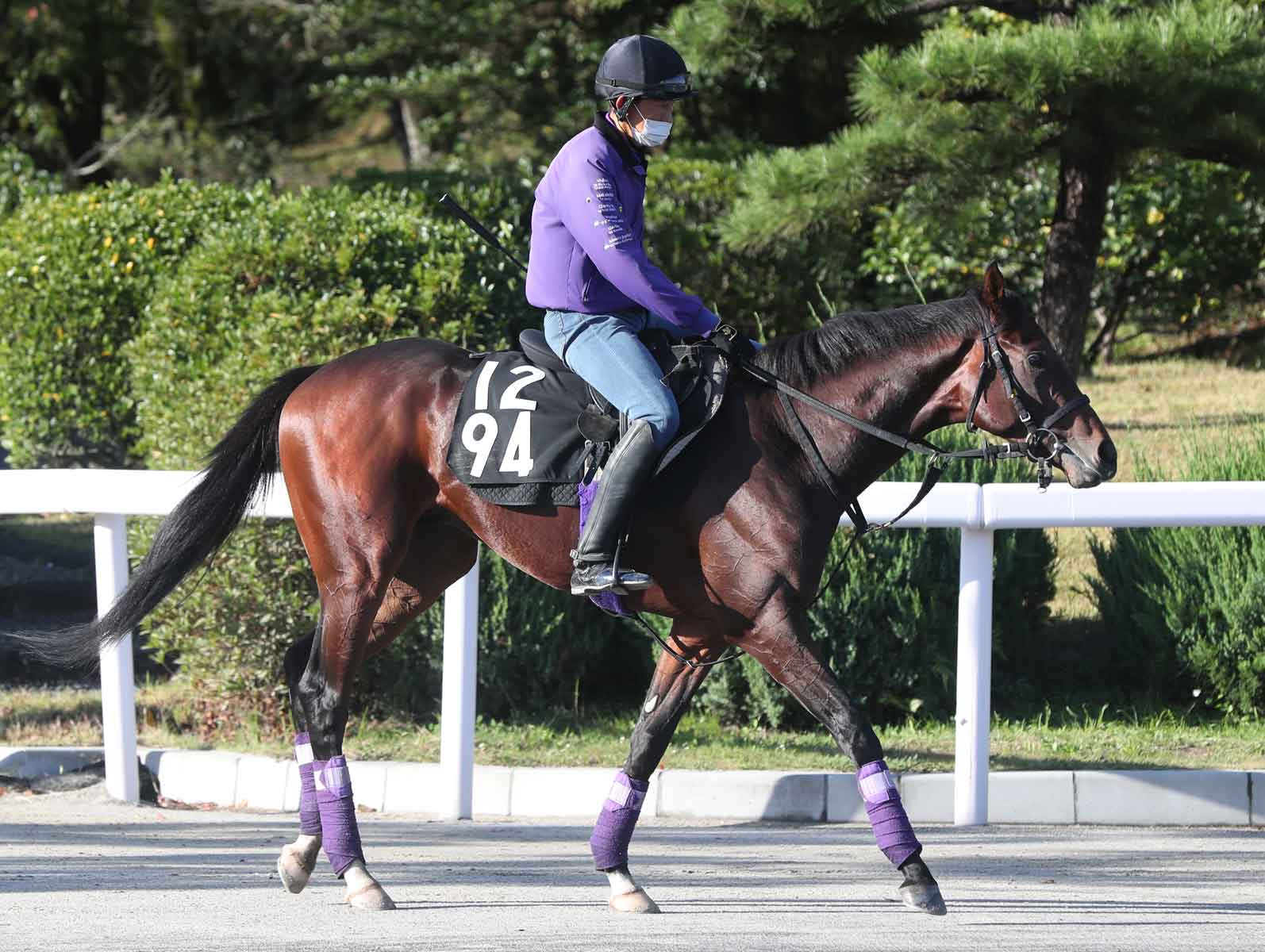 【注目新馬】４億７千万円馬・リアドが〝出世レース〟菊花賞当日の新馬戦でデビュー