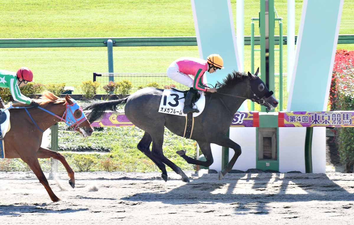 ２歳新馬 正攻法の競馬でオメガブルーム順当勝ち 安田翔師 課題はメンタル いったん放牧へ 競馬ニュース 特集なら東スポ競馬