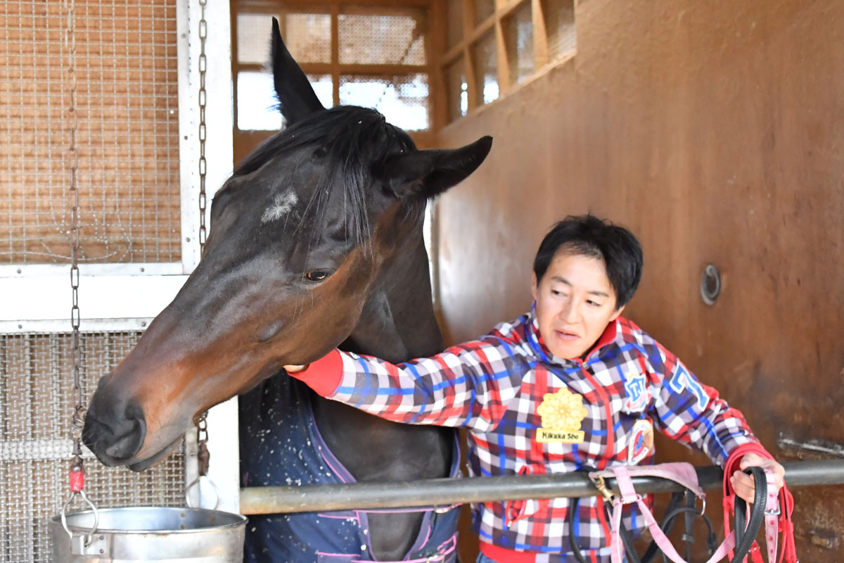 レッツゴードンキがガリレオとの初子を連れて英国から帰国 フランケル産駒の第２子は４月ごろに出産予定 競馬ニュース 特集なら東スポ競馬