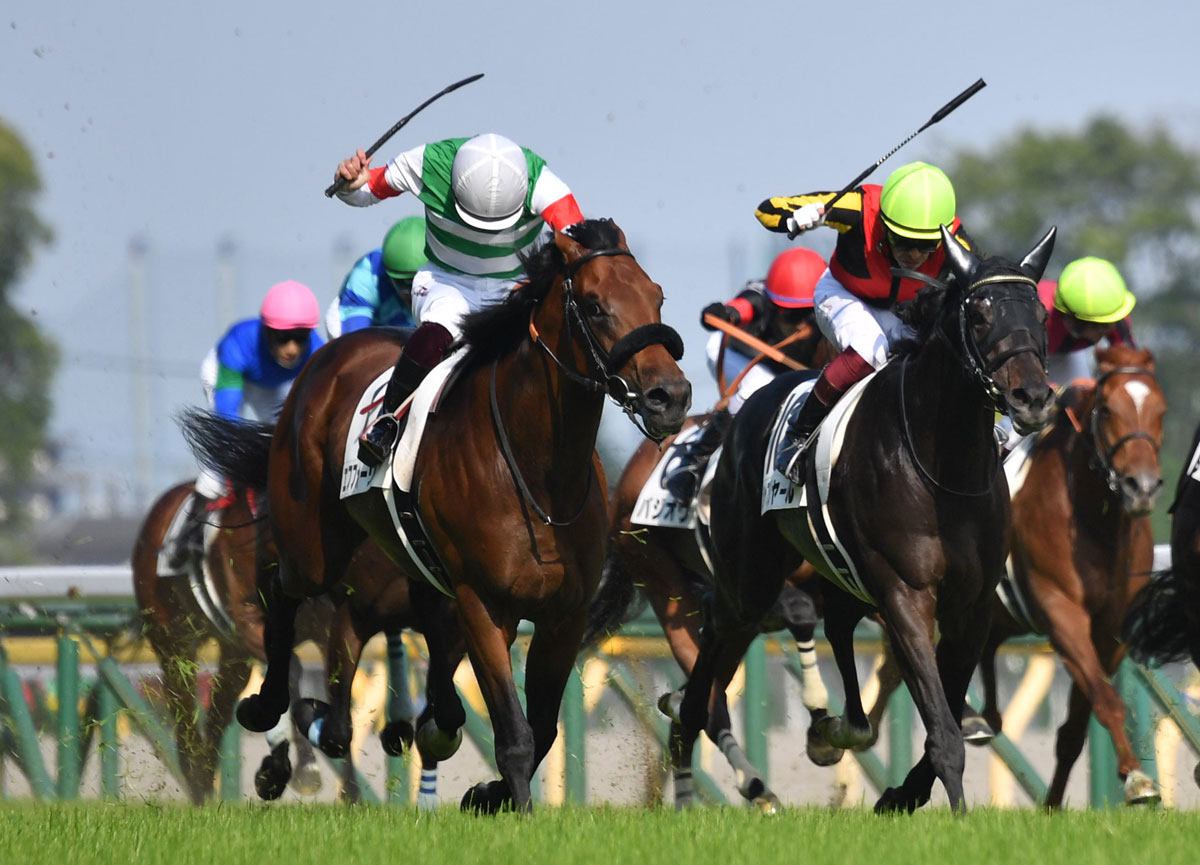 天皇賞 秋 どの前哨戦が強かった ３強格付け 最高位 はこの１頭だ 競馬ニュース 特集なら東スポ競馬