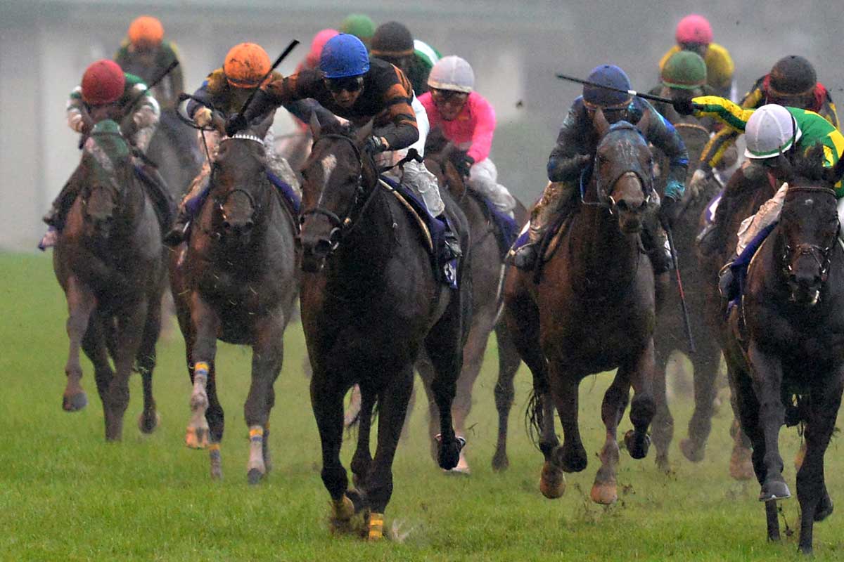 競馬秘宝館】天皇賞・秋 名勝負ベスト3 キタサンブラックと武豊の 