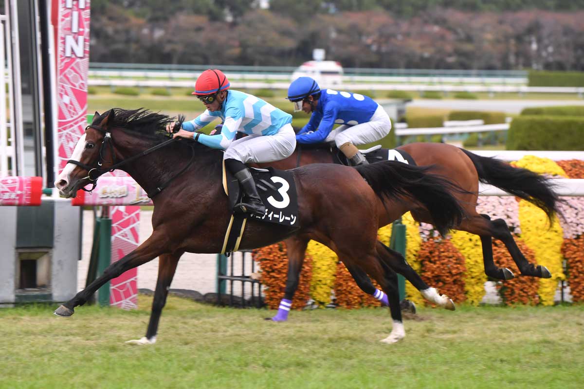 古都ｓ 最も小さなステイヤー メロディーレーンが４勝目 岩田望 馬がしっかりして 前でレースをすることを覚えてくれています 競馬ニュース 特集なら東スポ競馬