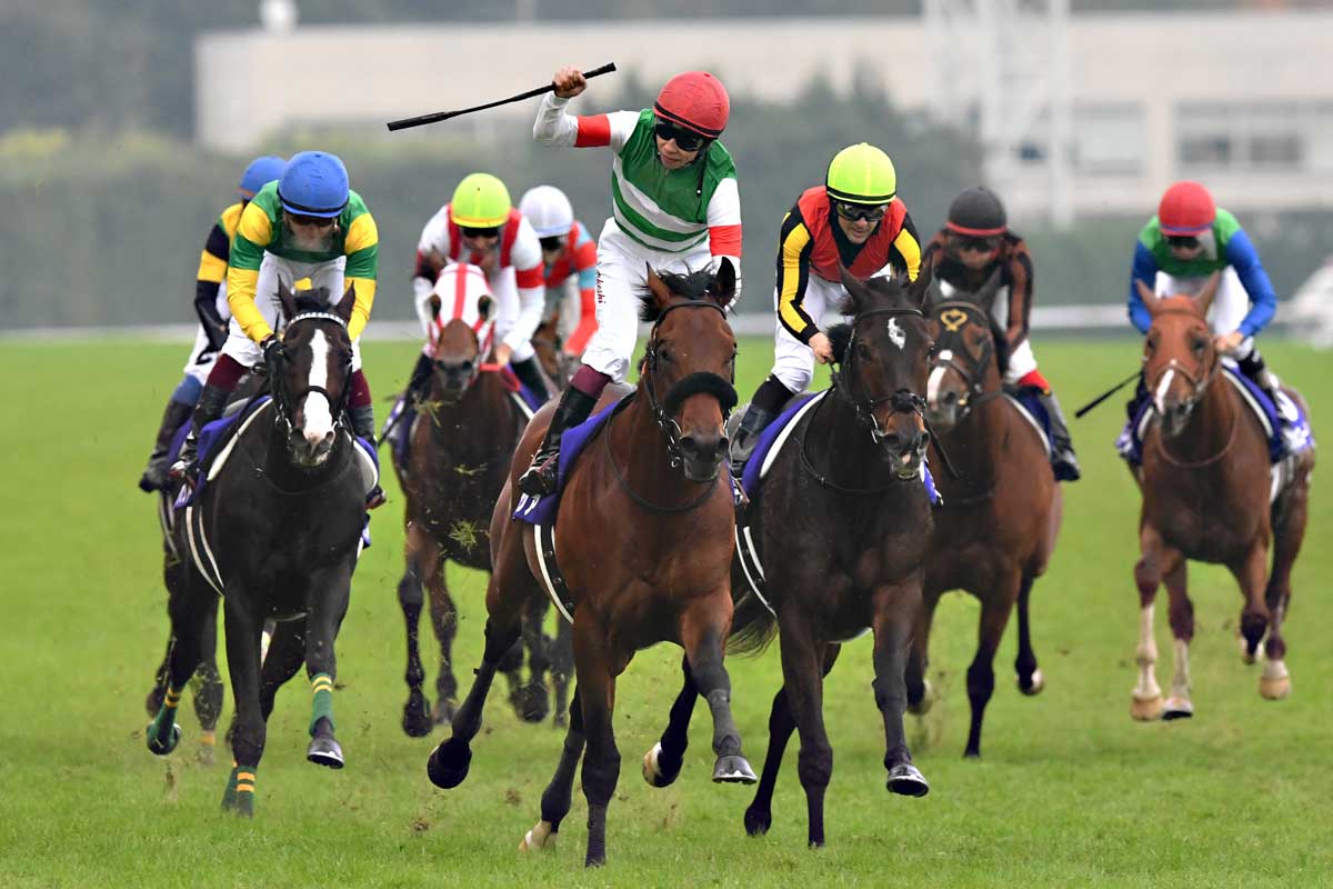 【天皇賞・秋】４着サンレイポケット鮫島駿「素晴らしい状態でしたし、この馬のベストの走りができた」