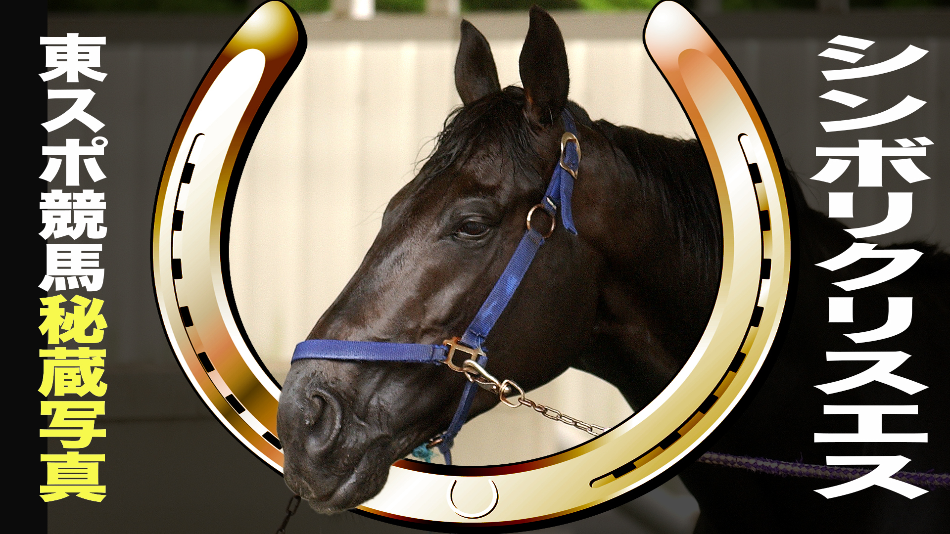 JRA ヒーロー列伝 B1 ポスター ゴールドシップ（JRA ヒーロー列伝 B1 