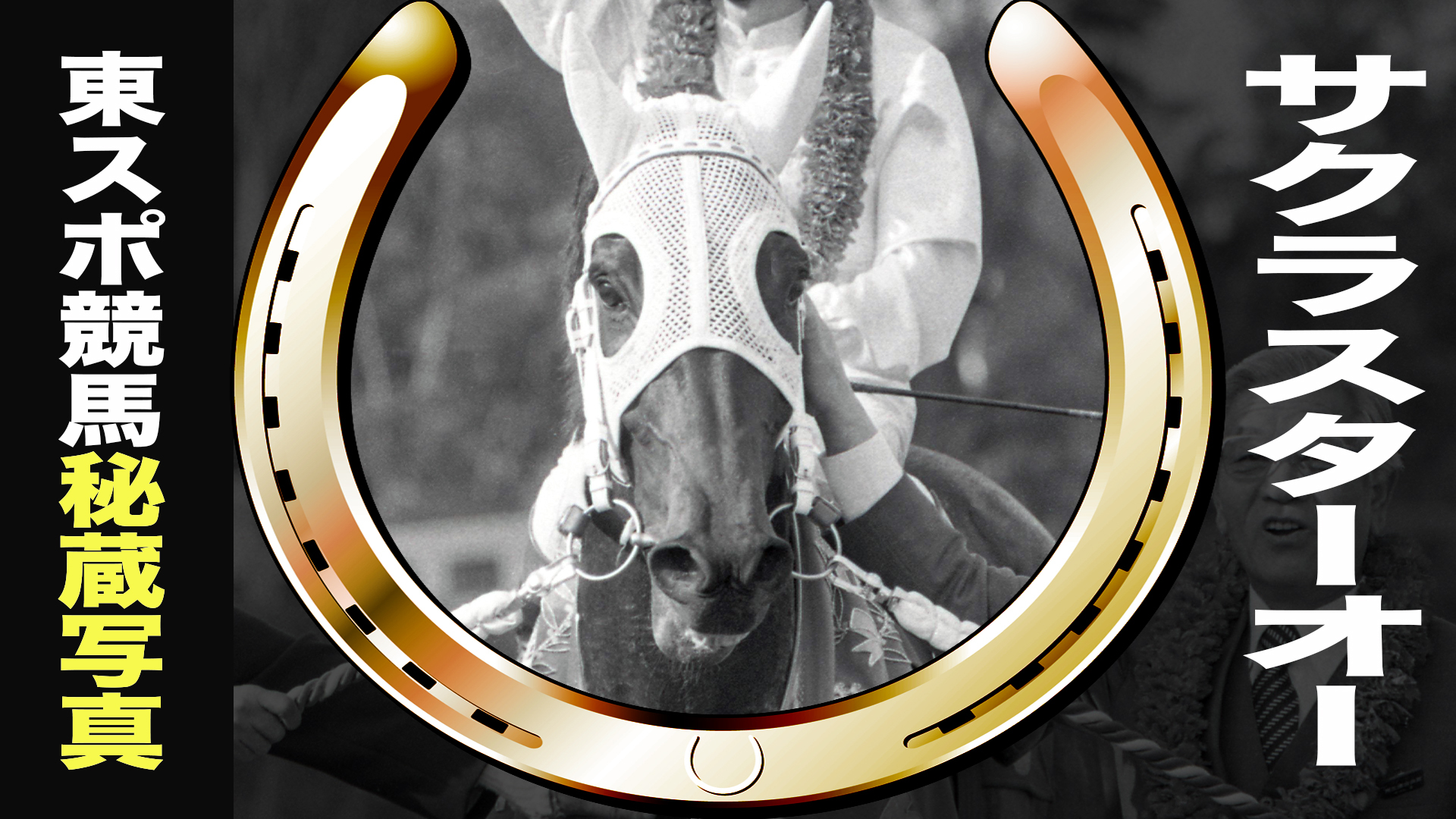 サクラスターオー　１９８７年ＪＲＡ賞年度代表馬