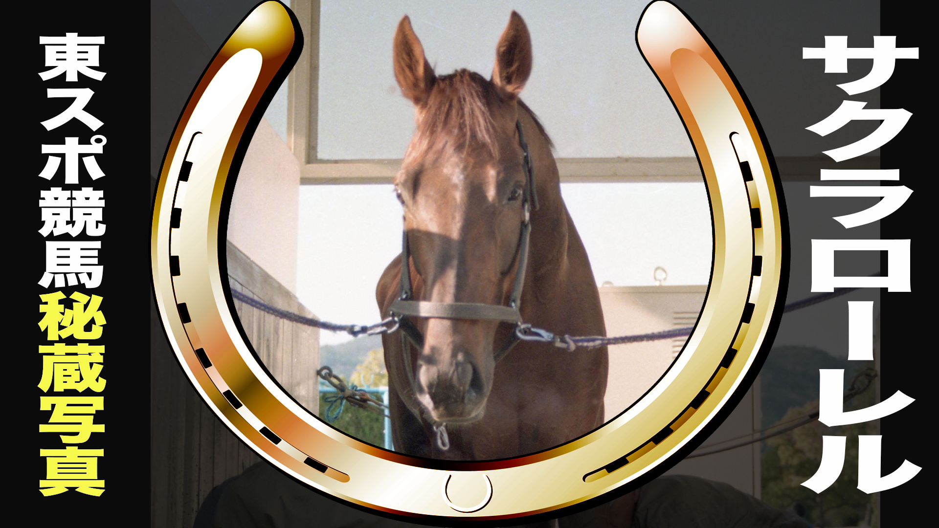サクラローレル　１９９６年ＪＲＡ賞年度代表馬