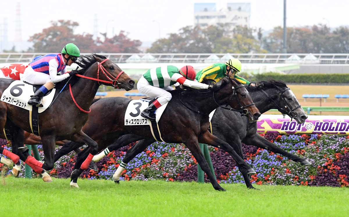 新馬勝ち馬総点検 ティズグロリアス距離伸びてさらにいい スケール大きい配合も魅力 競馬ニュース 特集なら東スポ競馬