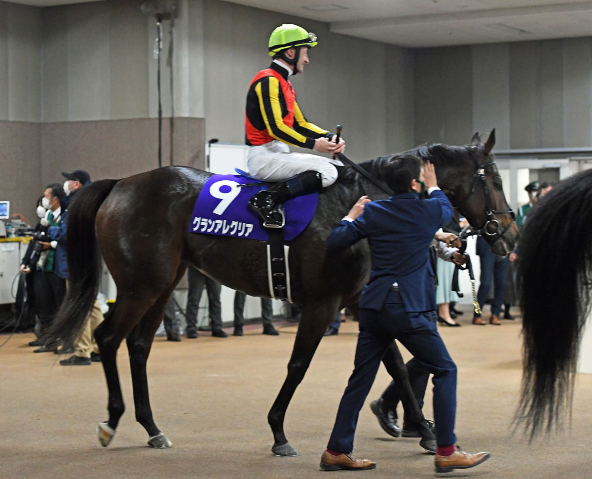 グランアレグリアは香港遠征を自重 鞍上ルメールでマイルｃｓに参戦へ 競馬ニュース 特集なら東スポ競馬