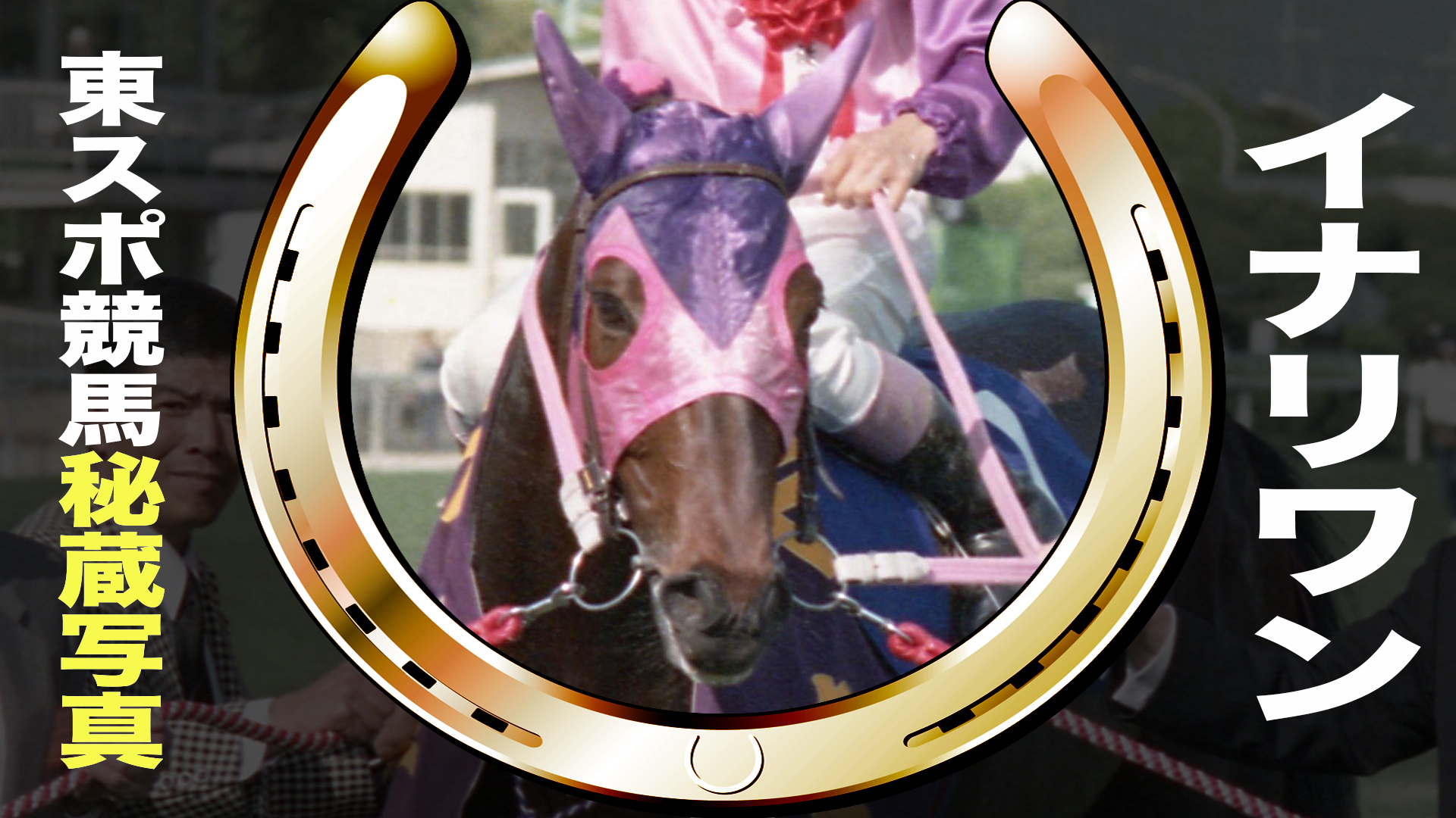 イナリワン　１９８９年ＪＲＡ賞年度代表馬