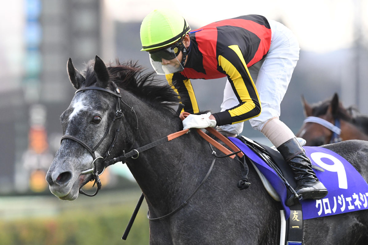 本日最終 競馬 クロノジェネシス ジャケット トップス - トップス 