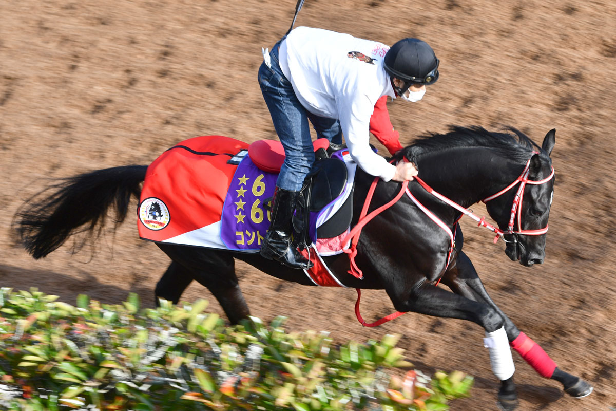 ジャパンｃ登録馬 ４世代のダービー馬が対決 昨年の３冠馬コントレイルは有終ｖなるか 競馬ニュース 特集なら東スポ競馬