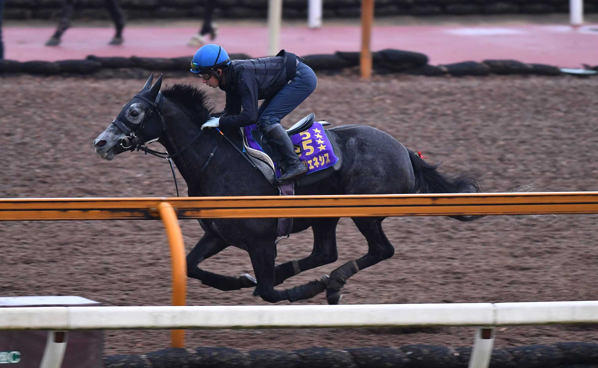 有馬記念・2週前追い切り】クロノジェネシス 史上初のグランプリ4