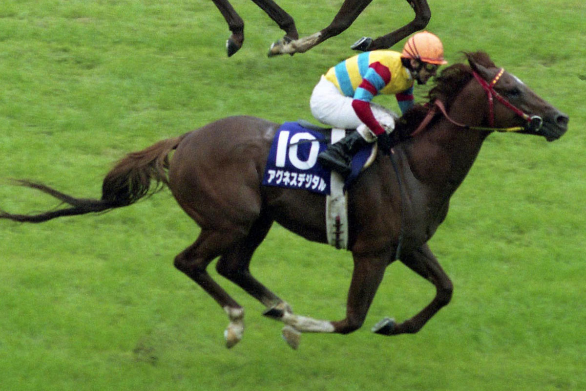 二刀流〟アグネスデジタル死す GⅠ6勝のオールラウンダー「ウマ娘