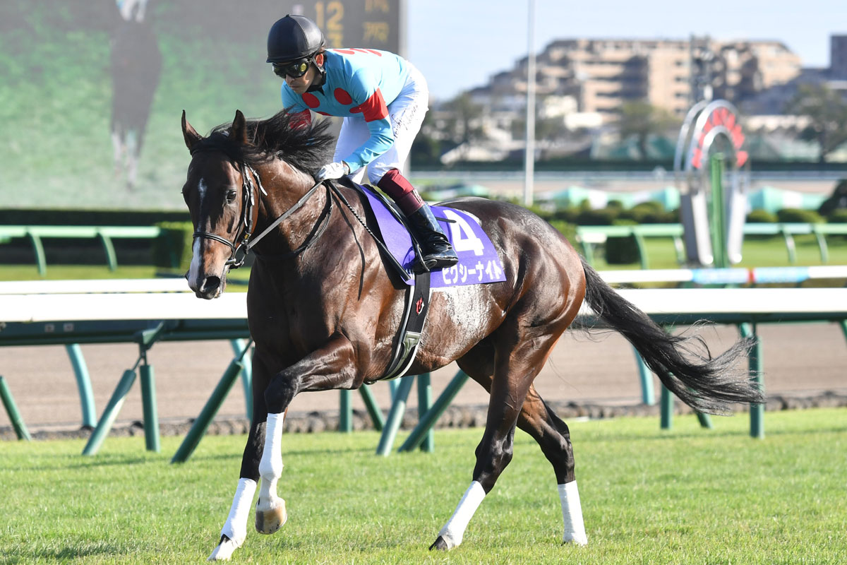福永祐一の 奇跡 左鎖骨骨折も香港スプリントの超多重落馬事故から生還 競馬ニュース 特集なら東スポ競馬