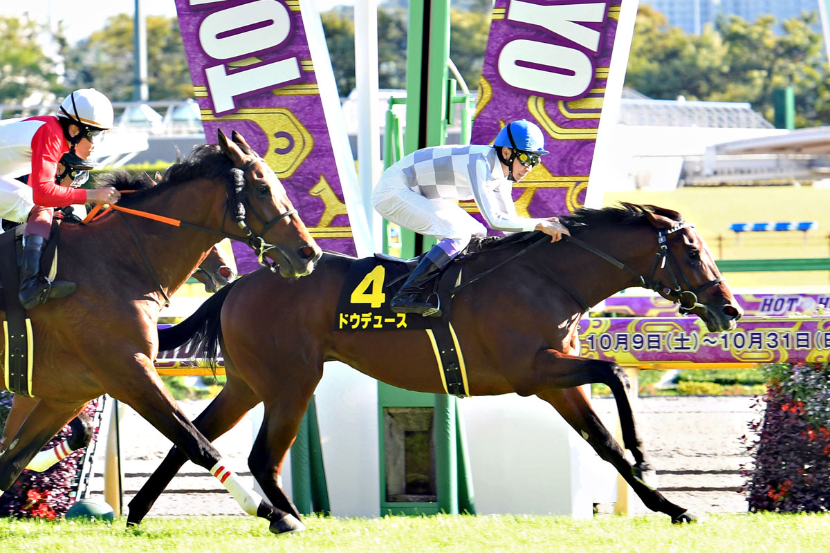 ドウデュース　21年　朝日杯FS　現地的中単勝馬券　ラスト在庫につき値引き❌️ 朝日杯FS】武豊の悲願達成へ ドウデュースの隠された爪が〝全開放