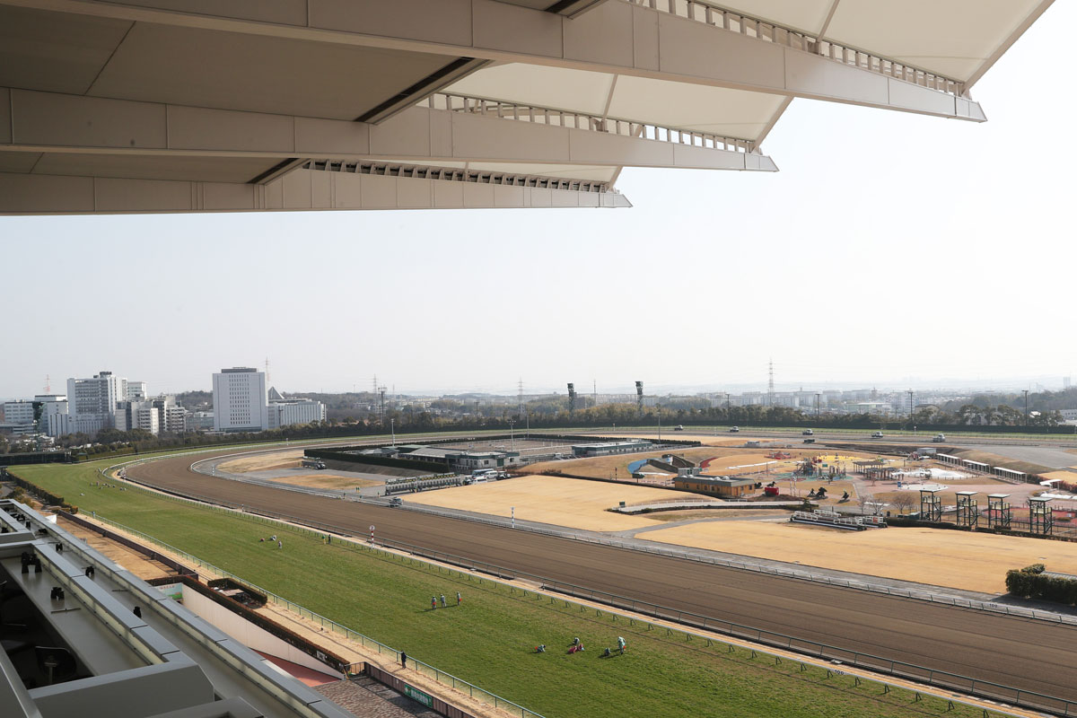 ２０２１年ベストレース 京都ハイジャンプ マーニ 難波田忠雄記者 競馬ニュース 特集なら東スポ競馬