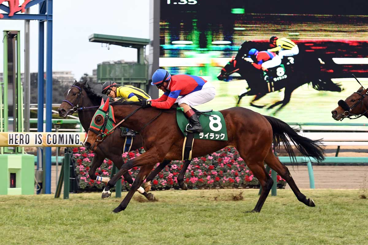 フェアリーS】5番人気ライラックが出遅れからの大外一気で重賞初V