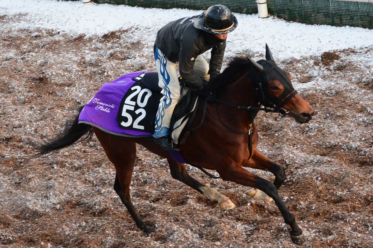 【注目新馬】名牝アーバンシーの２×３を持つ世界的良血ヒャッカリョウランが土曜中京で初陣