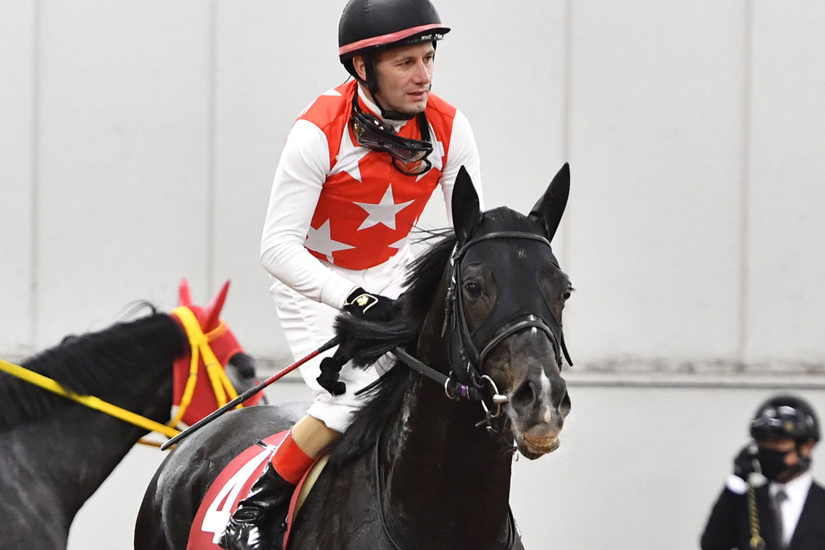 【日経新春杯】２着ステラヴェローチェのＭ・デムーロ「勝った馬にマークされていたからね」「ハンデも重かった」