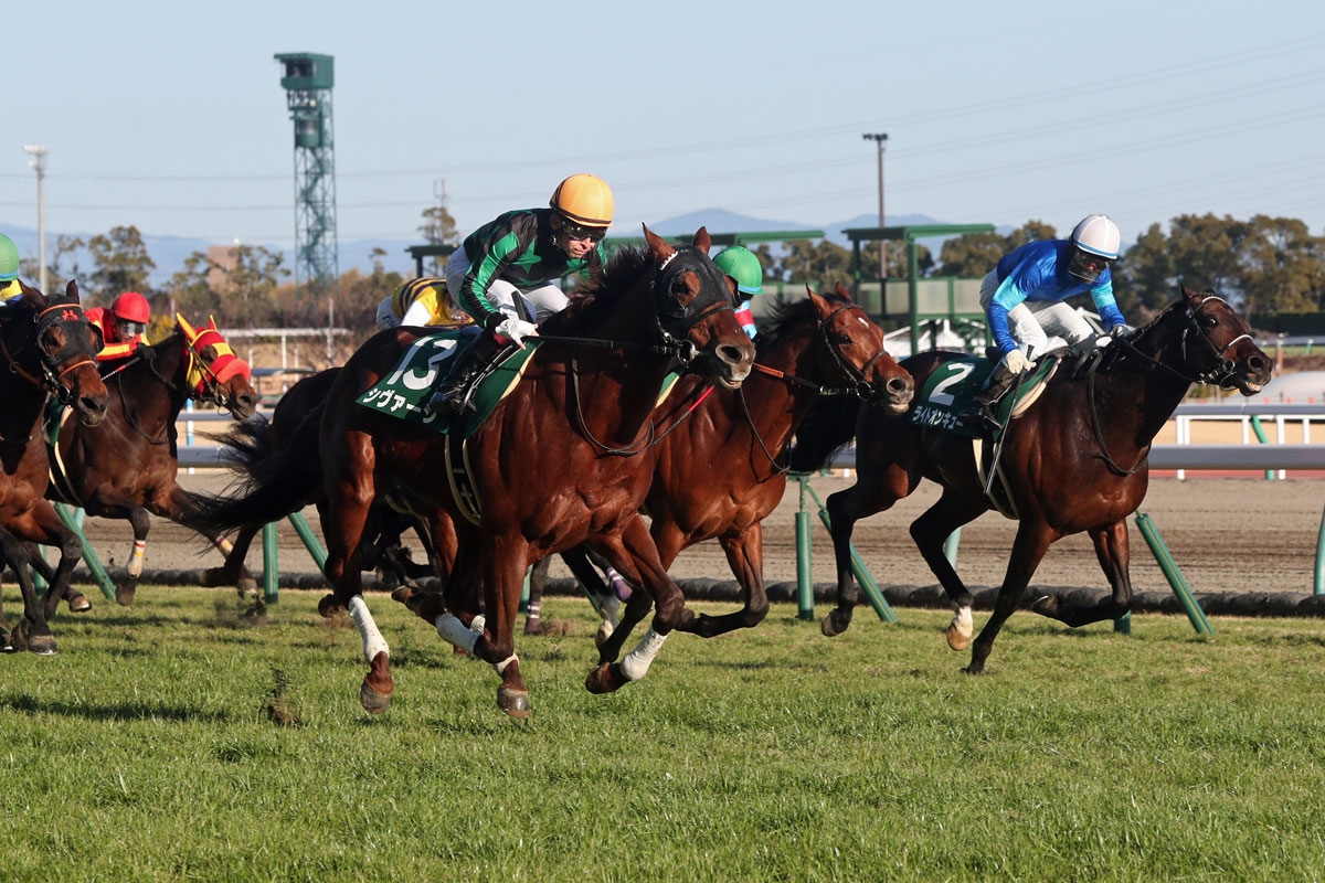 シルクロードｓ 競馬ニュース 特集なら東スポ競馬
