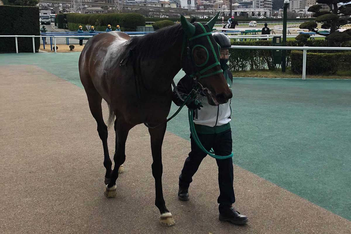 ３歳新馬 サンダビュークが一気に伸びて快勝 秋山稔 まだまだ成長してくれると思う 競馬ニュース 特集なら東スポ競馬