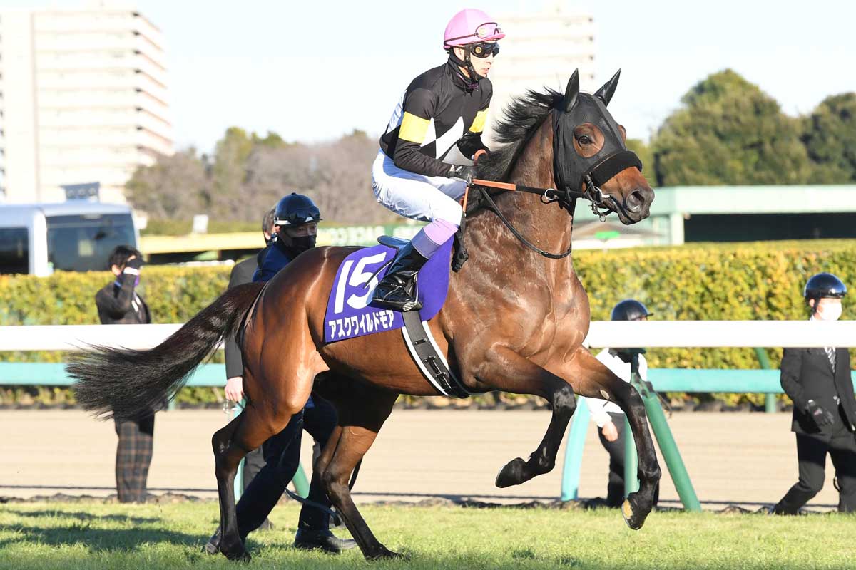 爆笑問題のウマでもわかる競馬基礎講座2　競馬場に行くの巻　VHS ウマの言葉は理解りませんだから静かにしてください！ 2