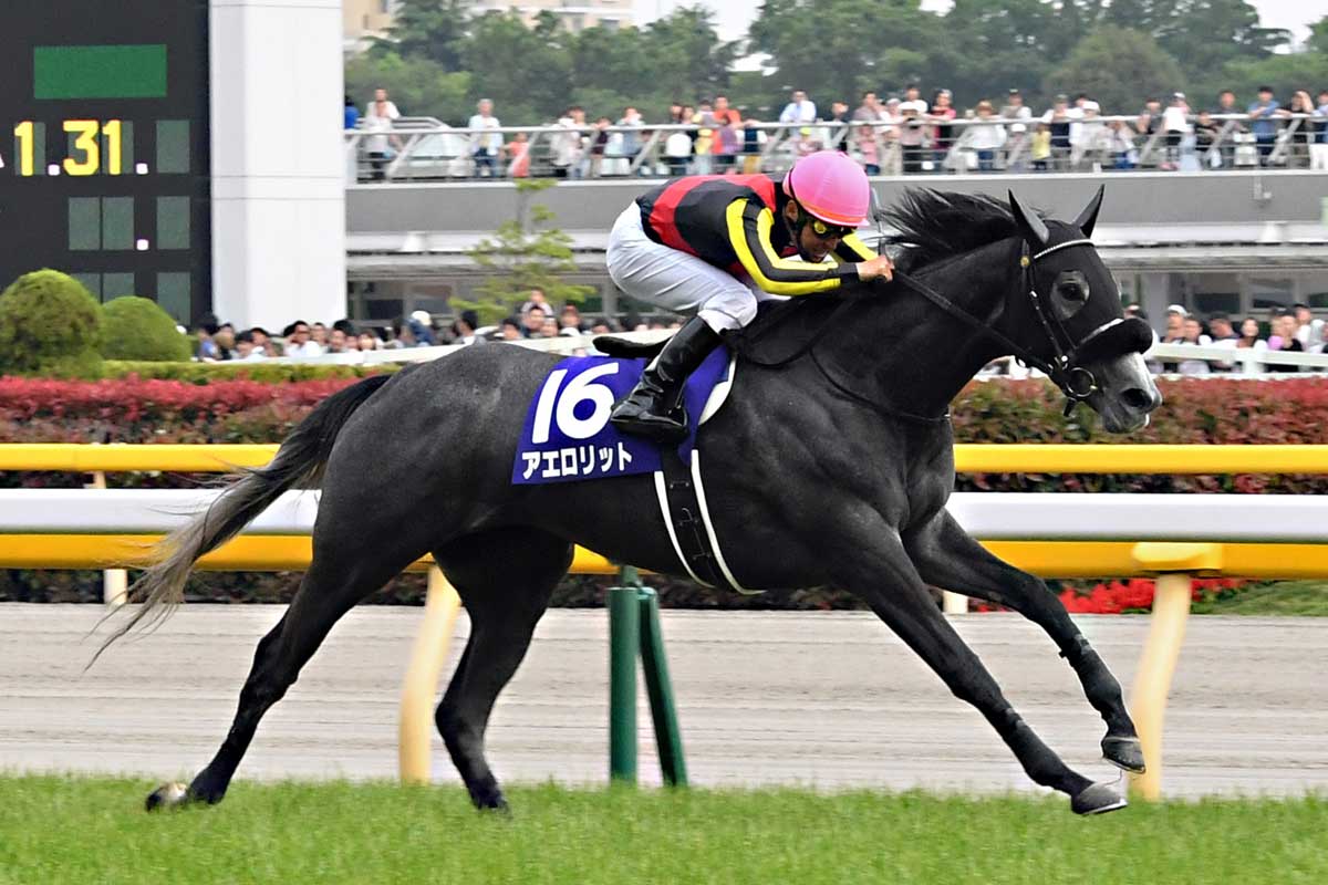 連載 温故知新 競馬ニュース 特集なら東スポ競馬