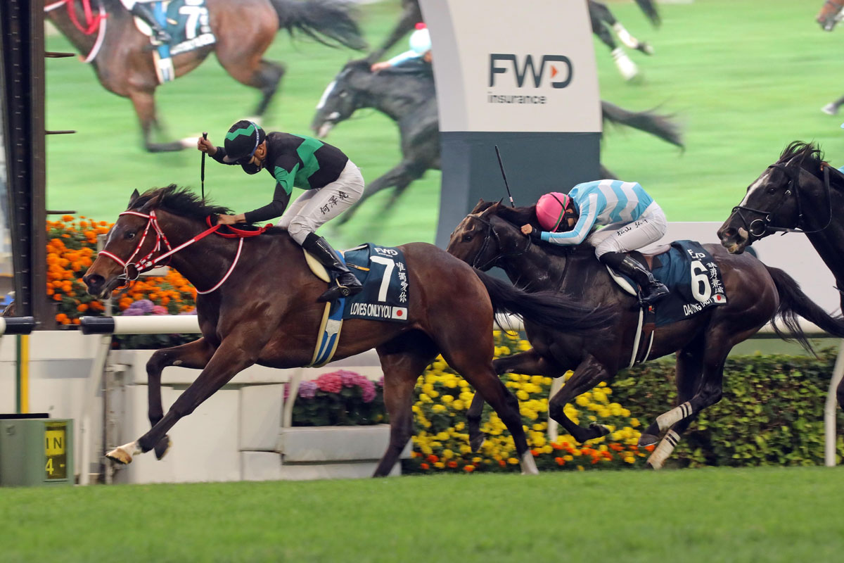 チャンピオンズデー 外国馬出走不可 決断の裏 香港競馬が現地で担う社会的役割 競馬ニュース 特集なら東スポ競馬