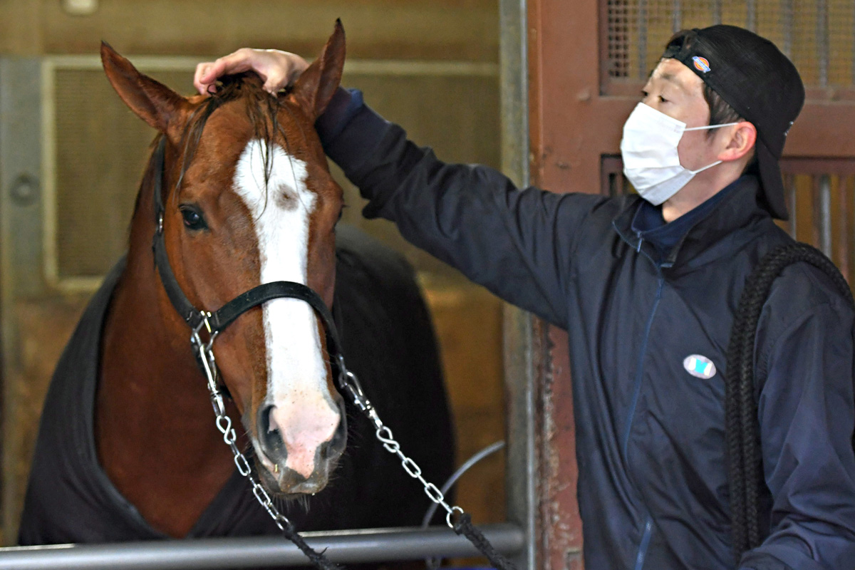 高松宮記念・枠順確定後の表情】1枠2番のナランフレグに宗像師「外