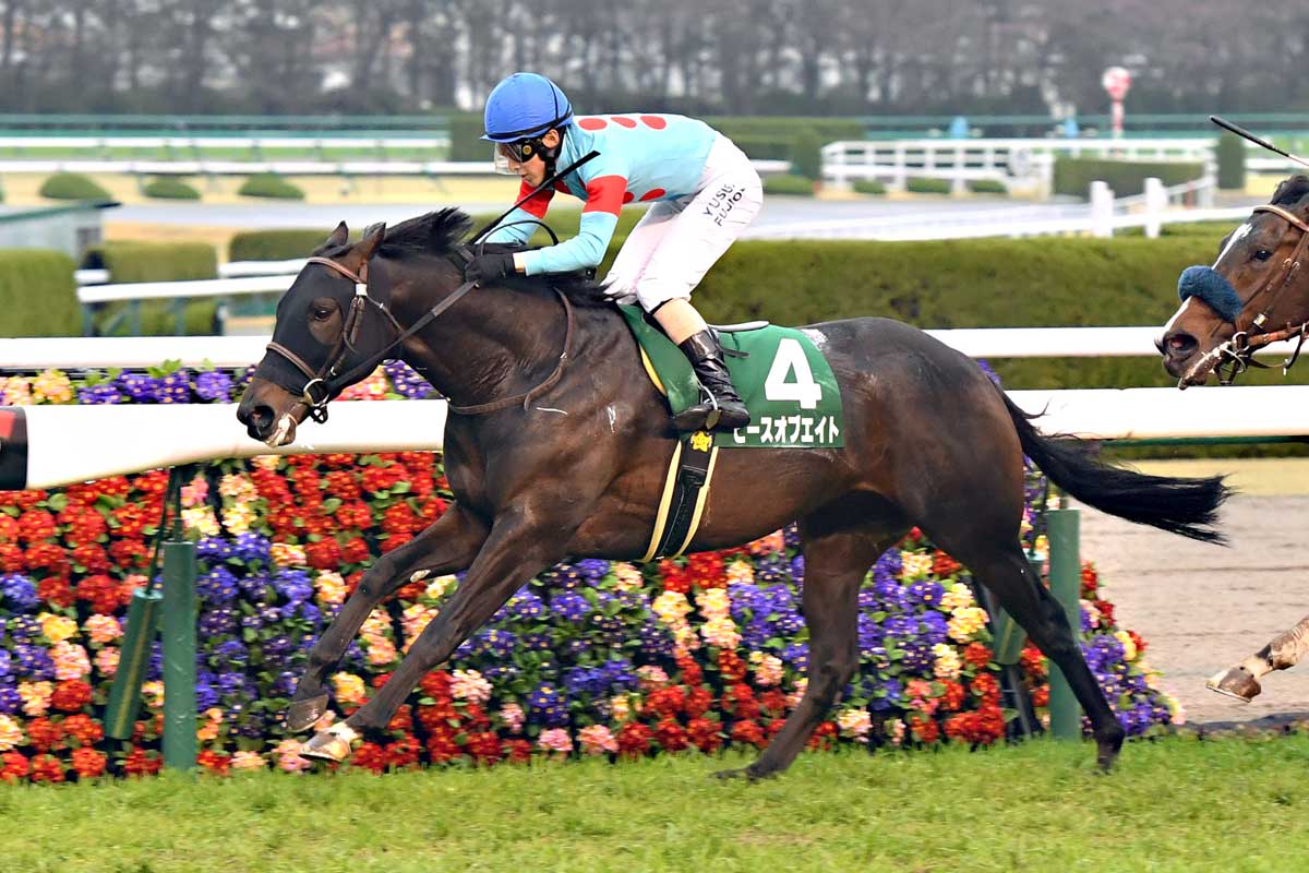 2022年毎日杯勝ち馬ピースオブエイトが登録抹消 ノーザンホース 