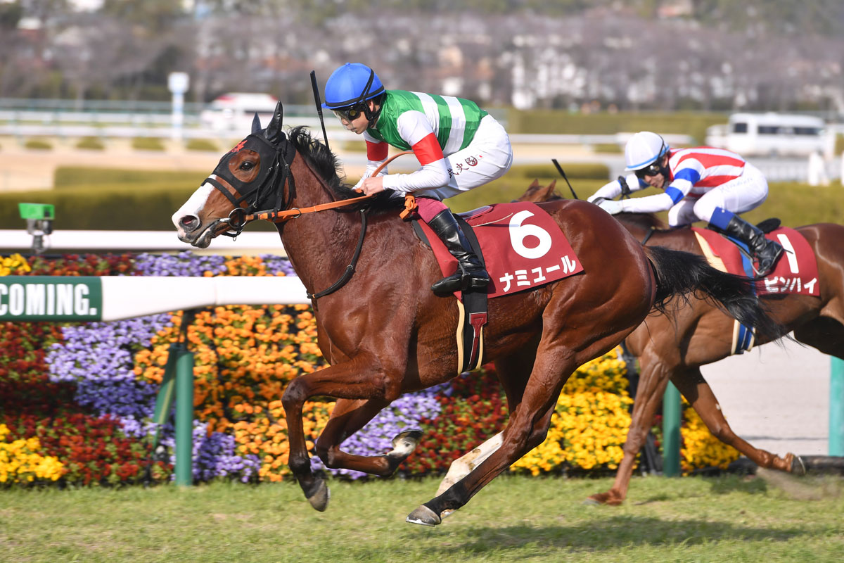 桜花賞展望 ナミュール横山武 牝馬 でのｇ 初制覇へ ２歳女王 サークルオブライフも上積み必至 競馬ニュース 特集なら東スポ競馬