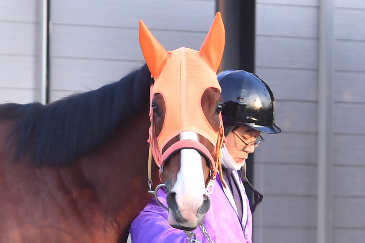 桜花賞枠順 ナミュール８枠１８番 ２歳女王サークルオブライフは８枠１６番 競馬ニュース 特集なら東スポ競馬