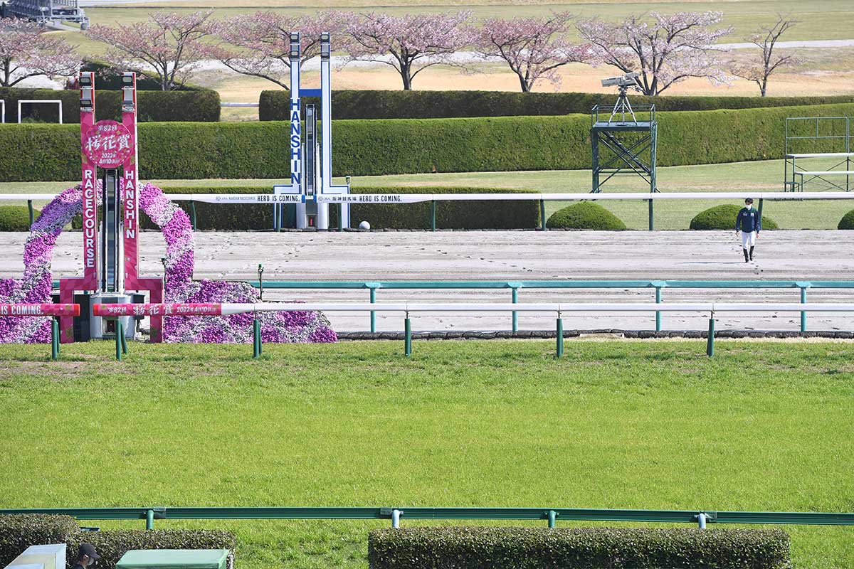 阪神 競馬 場 馬場 状態