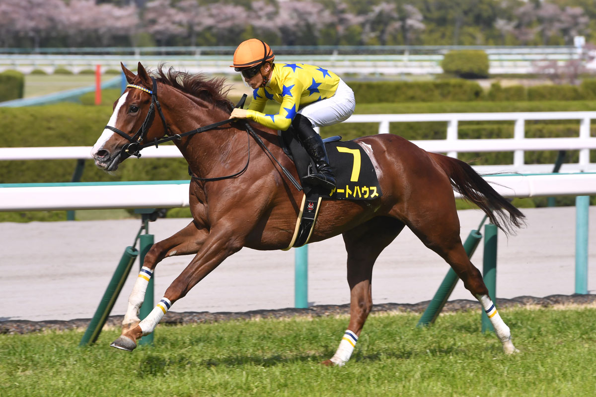 ３歳戦フラッシュ アートハウスがオークスに向けて期待が高まる勝利 ジャングロは３連勝で重賞初制覇 競馬ニュース 特集なら東スポ競馬