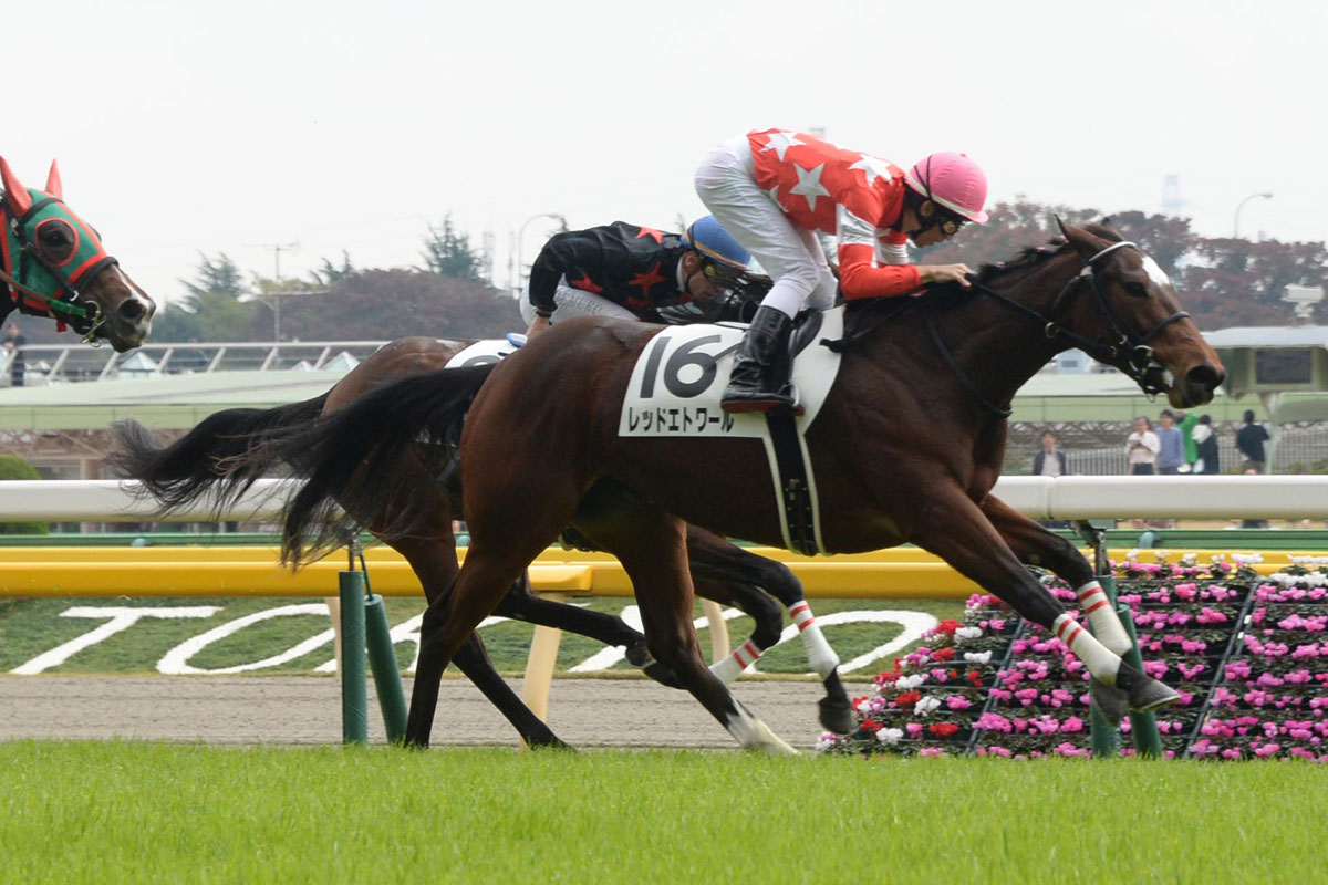 １３ 久保田貴士厩舎とは開業以来の付き合いで 競馬ニュース 特集なら東スポ競馬